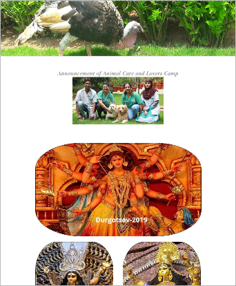 Template- Animal Care camp